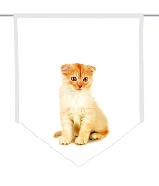Tiger Katzenbaby, Scheibenhänger spitz